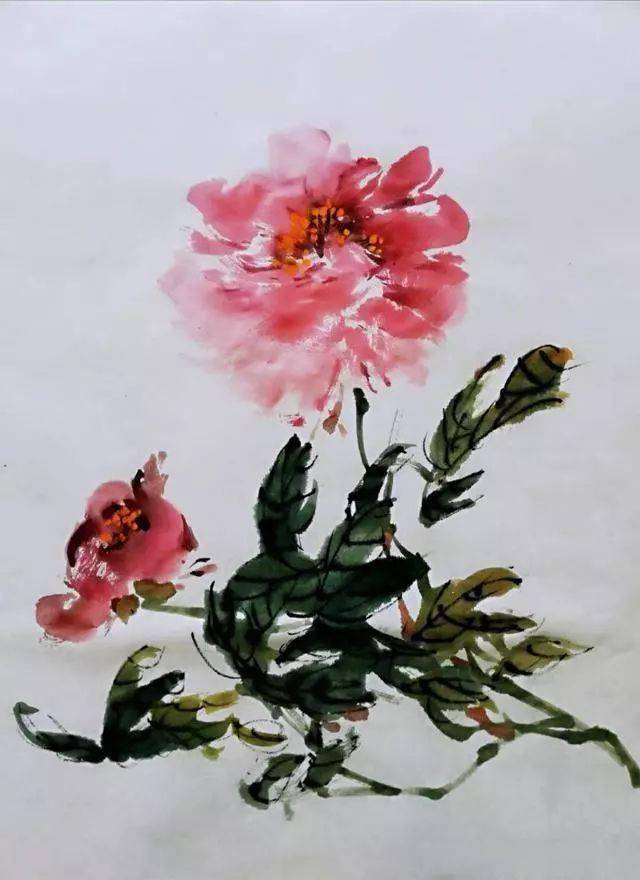 牡丹一笔画一个花瓣真的很匠气