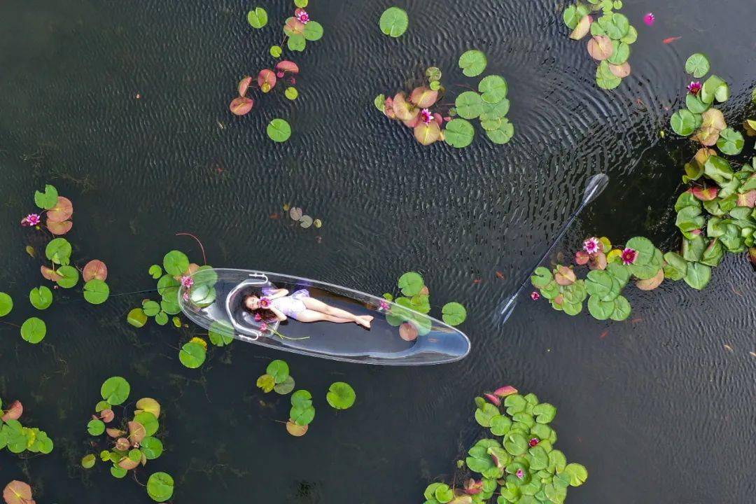 创作_风景区_李锦河