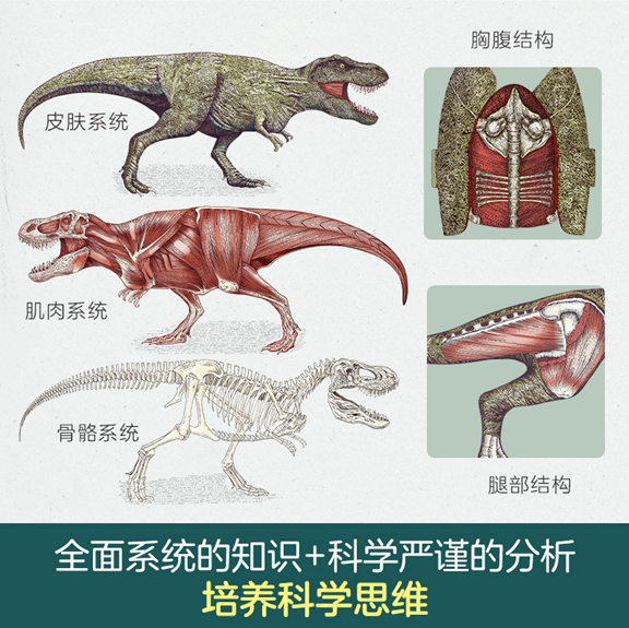 雷克斯_侏罗纪_恐龙