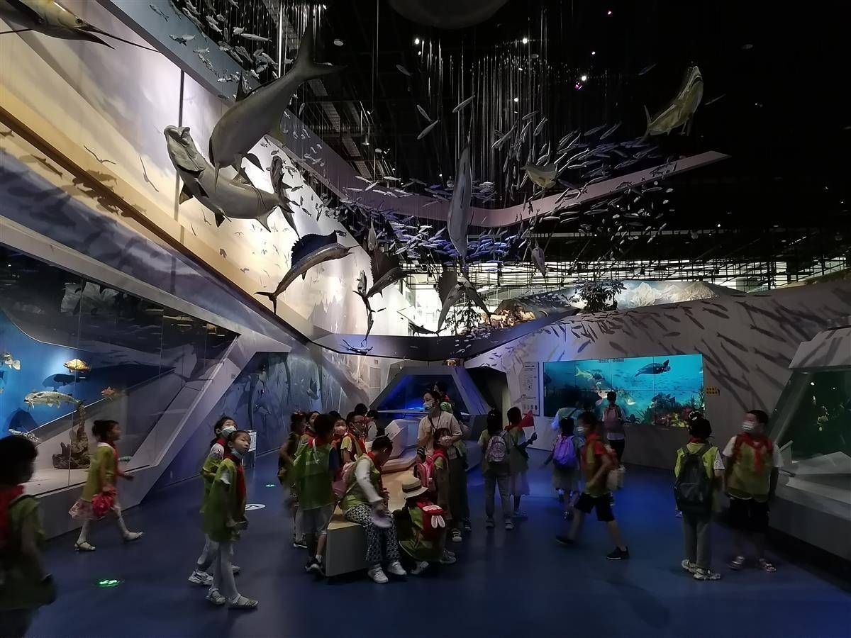 "团团相伴"青少年自然科学之旅——走进园博园武汉自然博物馆_亚马孙