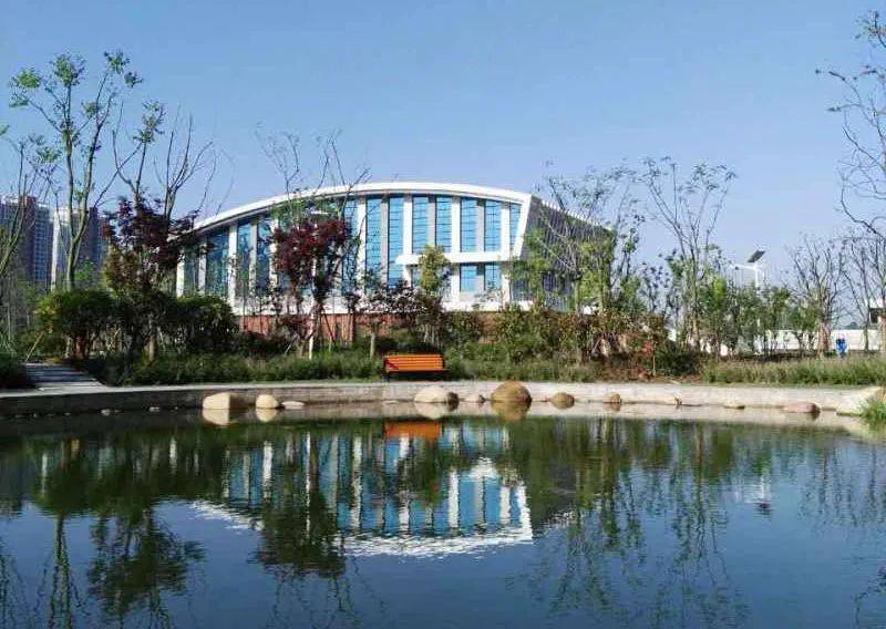 六安二中河西校区最新消息!