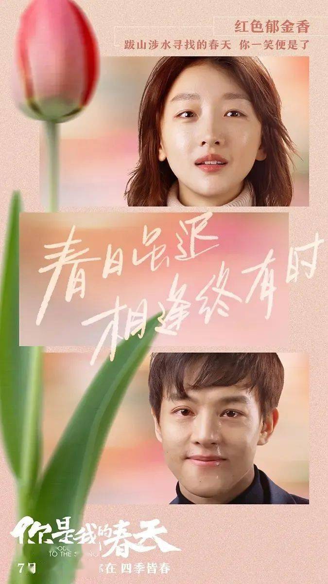 王炸阵容汇聚春天记录人间温情