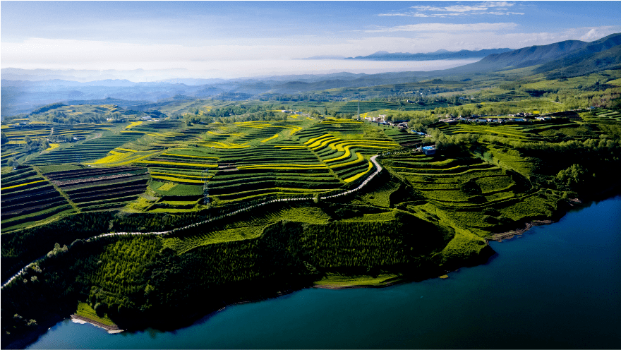 湟中打造现代都市农业