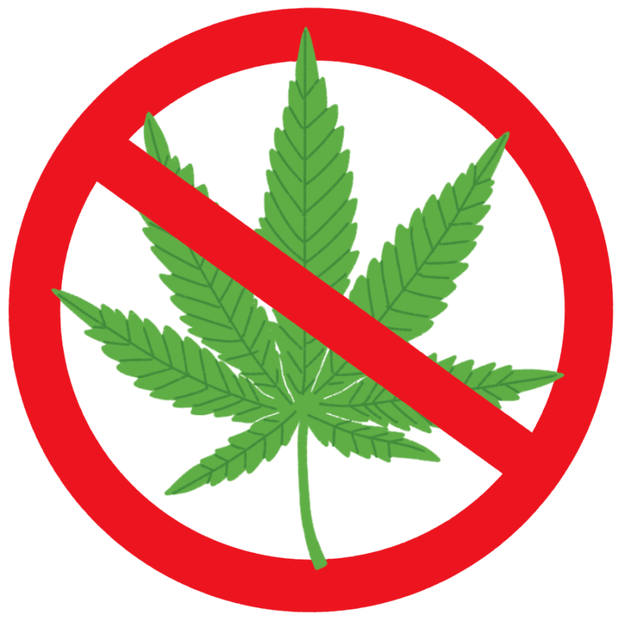 珍爱生命,远离毒品深入了解毒品的危害树立防毒意识提高自我保护能力6