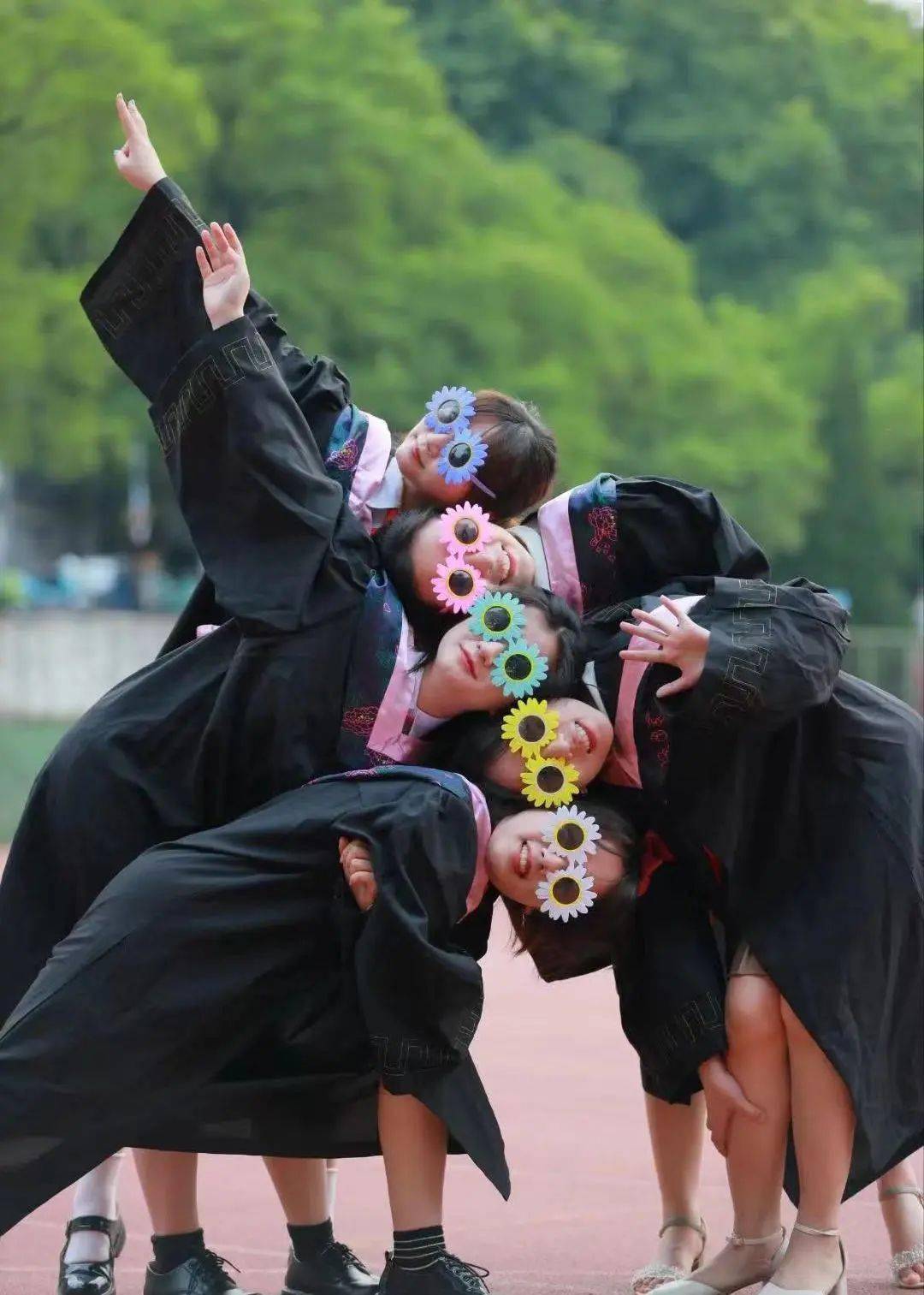 中的鲜花给未来愿迎新送故身上的学士服给过去安徽农业大学我们的故事