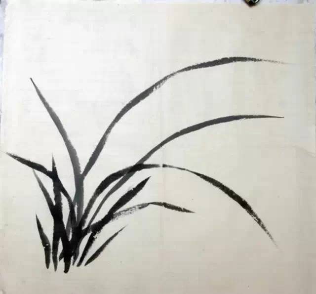 手把手的教·如何画兰花·兰叶_画法_交叉_折叶
