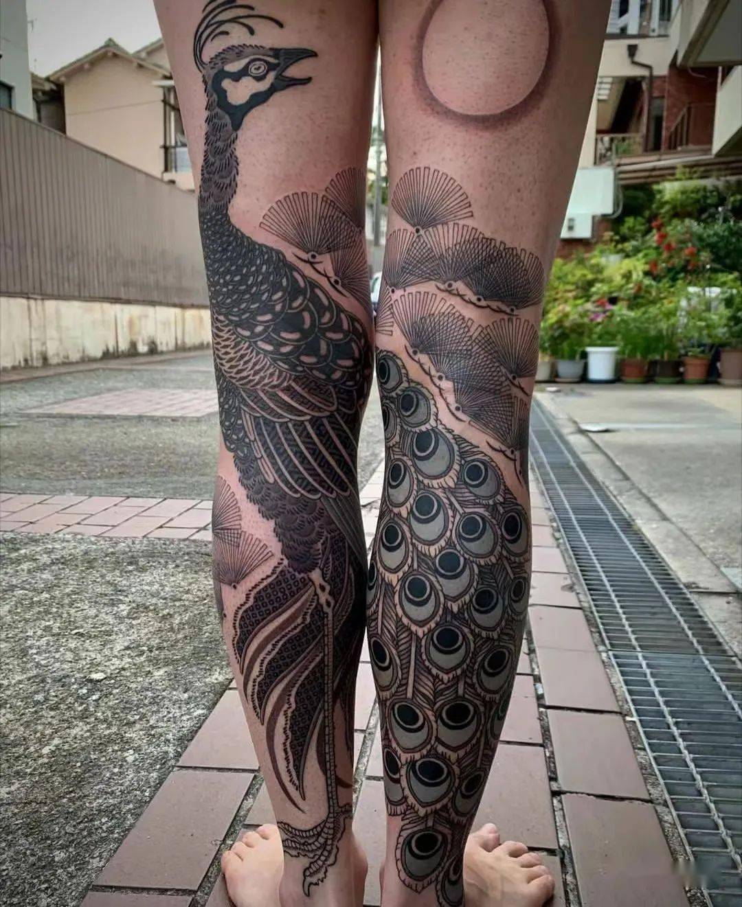 漂亮的孔雀纹身_黑褐色_头顶_中国