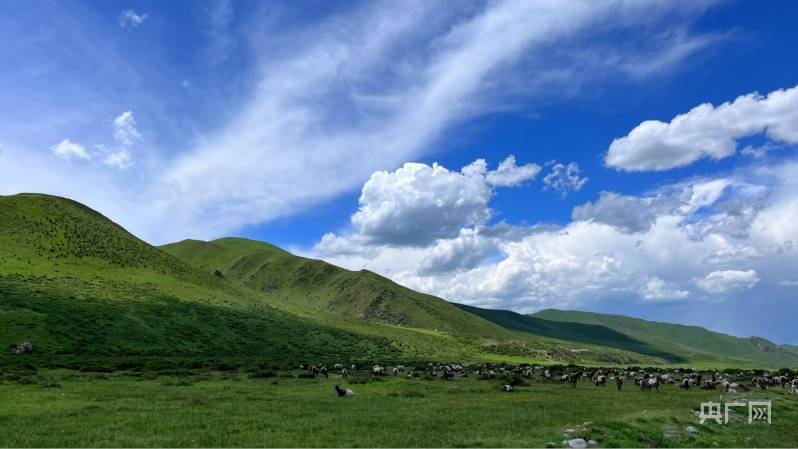 【图组】洮河源头 画意湿地_樊永涛_青海_公园