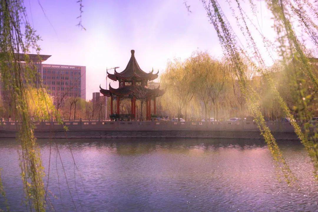 这里是沧州师范学院期待与你初见