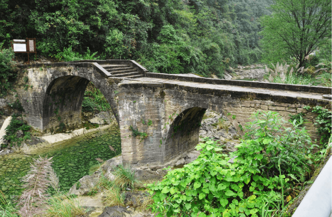 叩响历史的大门,走进万里茶道湖北段的人文图景_汉口_贸易_茶叶