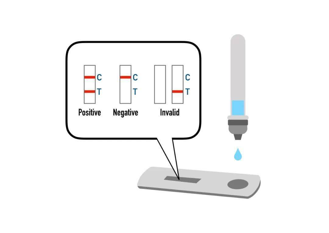科普|新冠病毒抗原检测的红线是怎么形成的?_液体_条带_抗体