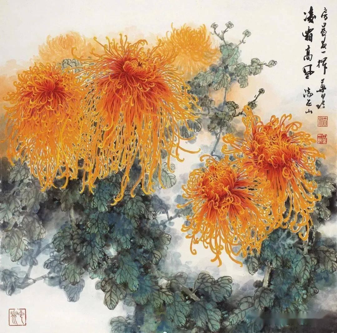 菊花王子叶泉