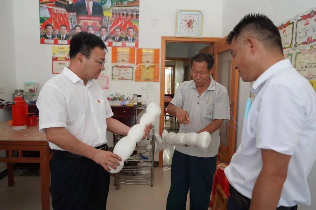 吴明哲赴槐林镇开展"七一"走访慰问活动_巢湖市_贡献_身体状况