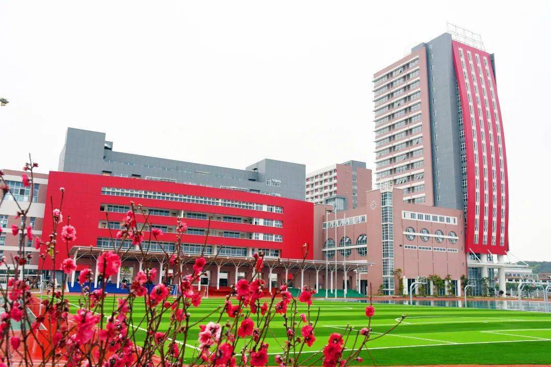 广州培文外国语学校重磅消息初中一年级民办学位补录名额开始登记