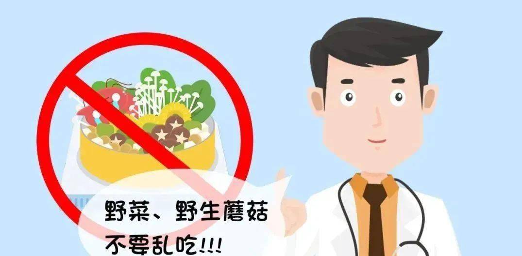 鹿花_羊肚菌_中毒事件