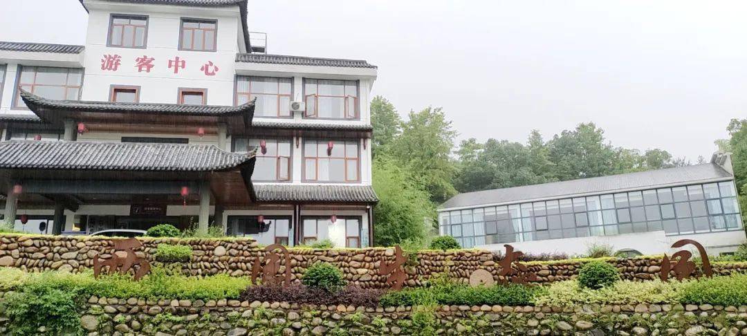 活动_信州区_朝阳镇