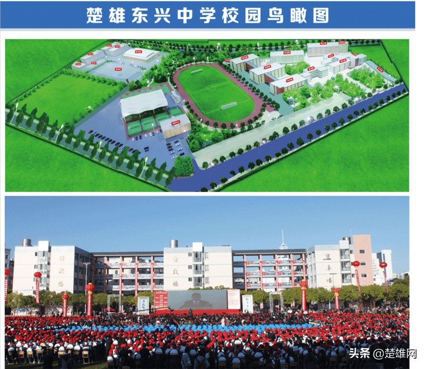 速看楚雄東興國際學校2022年招生簡章來啦