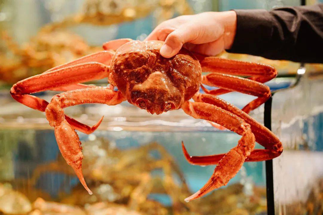 深圳王牌活蟹料理蟹王道食蟹道两店适用999元享活雪蟹六吃双人套餐活
