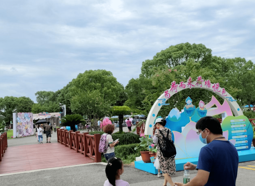 苏州_龙道浜_湿地