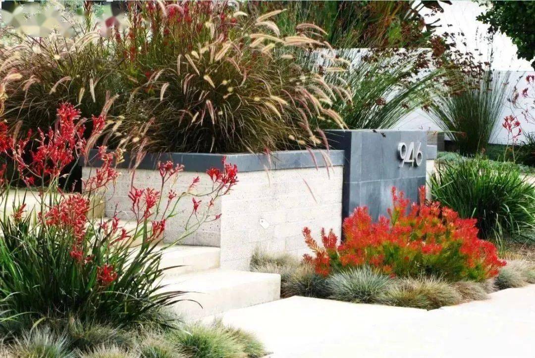 美轮美奂的入户景观,开启花园的仪式感_入口_植物_进行