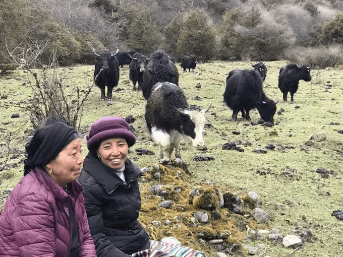 大美边疆行丨西藏:固边兴边富民 打造高原边疆美丽新画卷_玉麦乡_发展