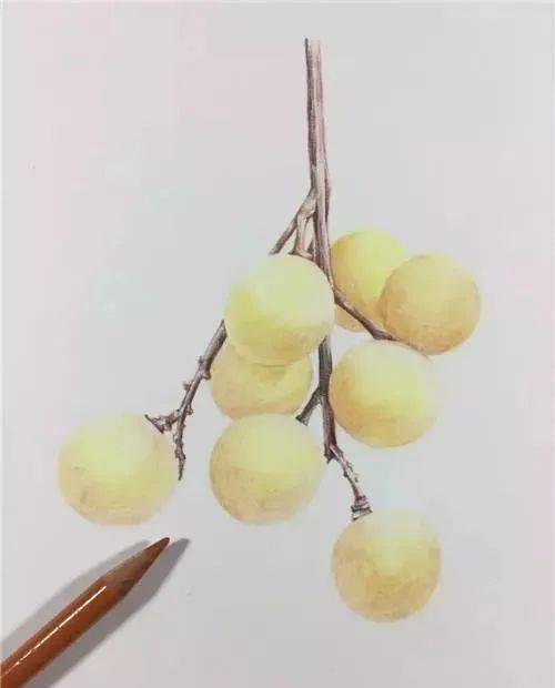 棕色_底色_交界线