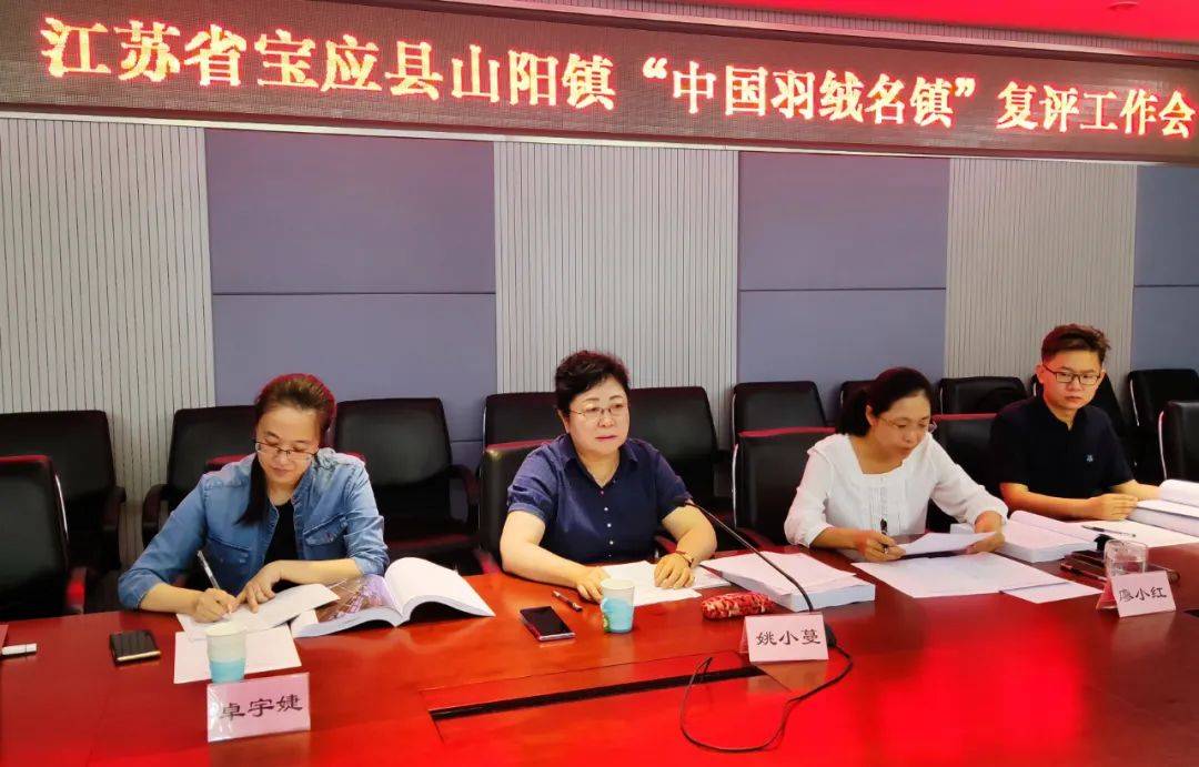 江苏省宝应县山阳镇中国羽绒名镇复评工作会召开