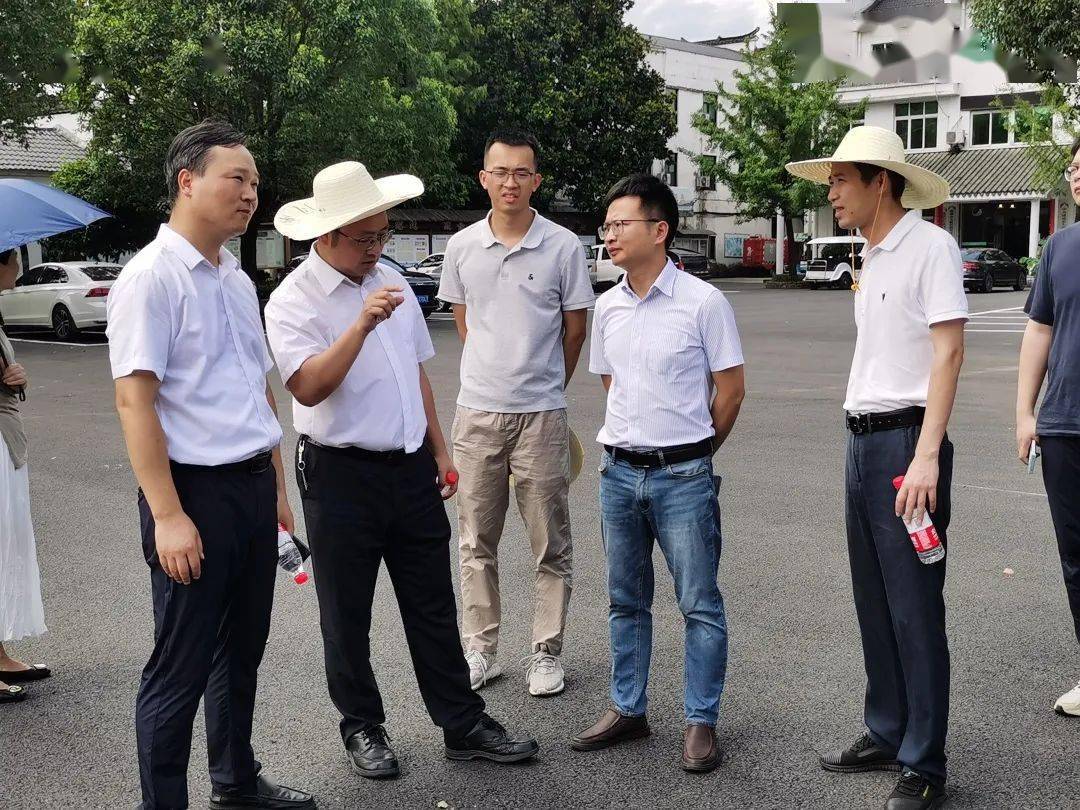 杭州风貌办一行实地调研了兰溪诸葛镇八卦村,大慈岩镇里叶村,龙游横山