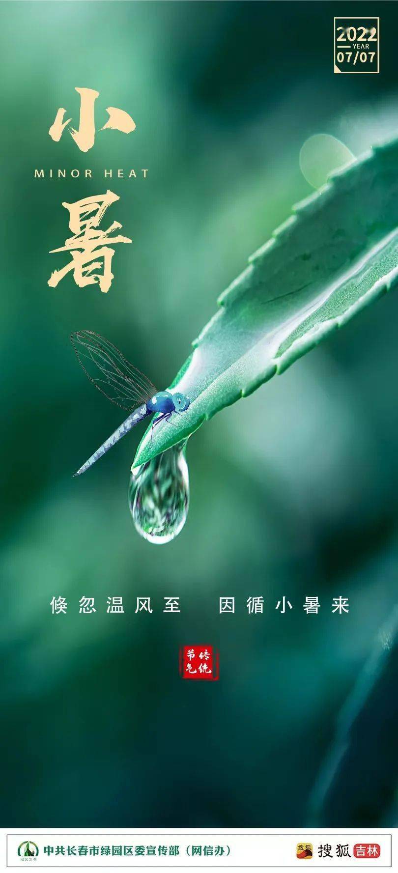 今日小暑_温风至_节气_樱桃