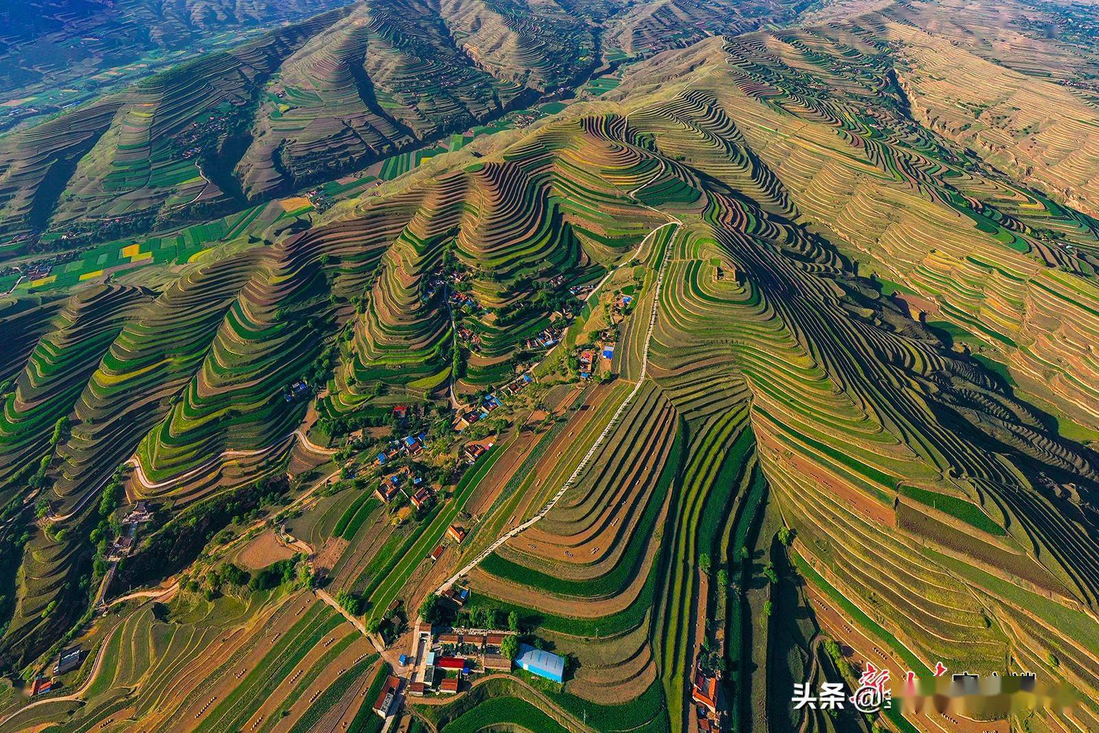 会宁县夏日梯田风光无限好