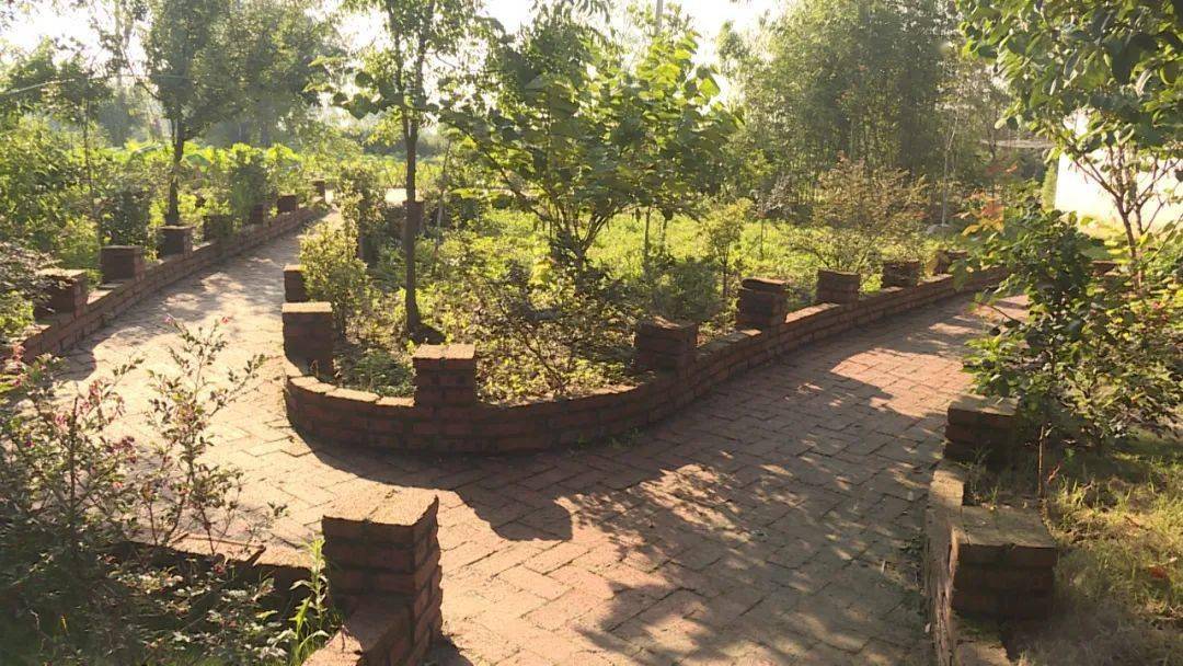 人居环境整治杨墩村上官明塘田园风景美休闲好时光