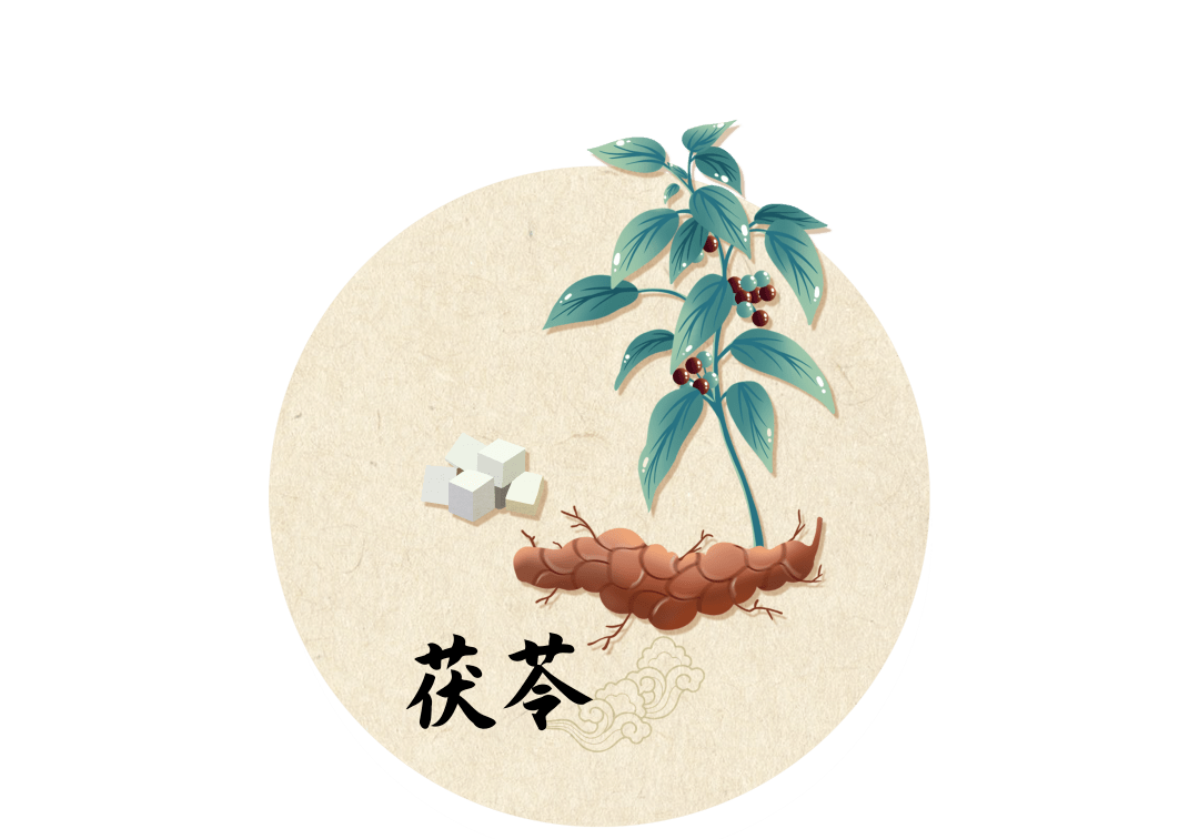 【二十四节气养生· 小暑】小暑神清夏日长_茯苓_功效_荷叶