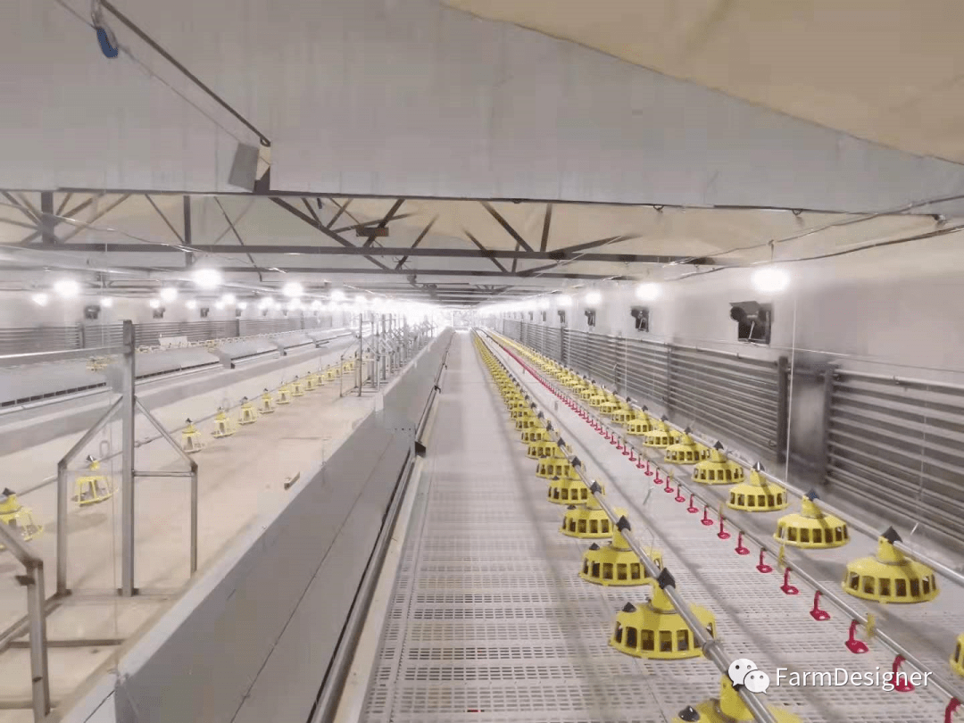 新思维养殖:鸡舍挡风幕帘的使用以及利弊说明_风速_风机_降低