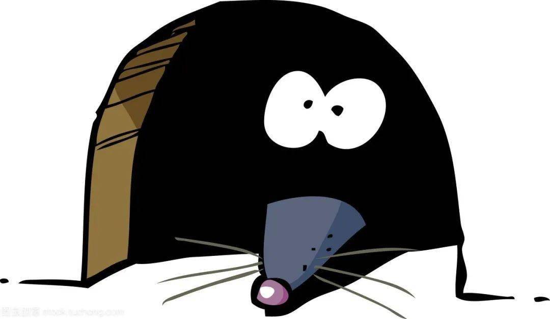 老鼠_毒饵_食物