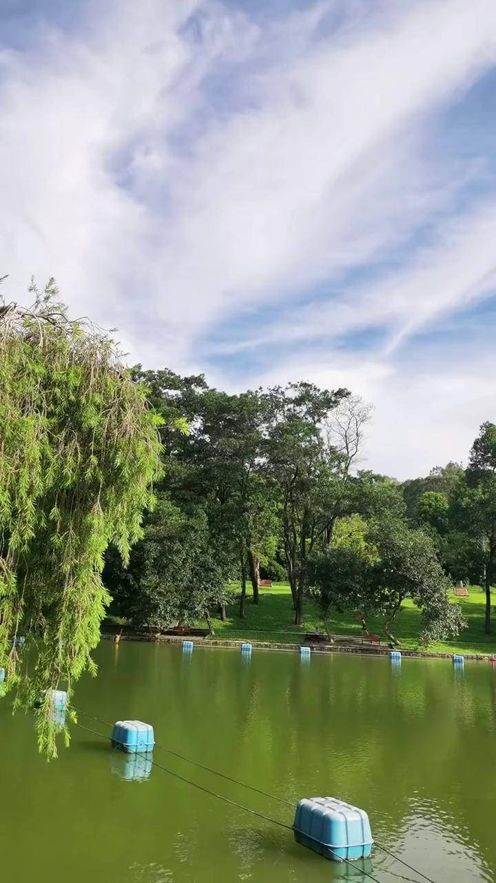 雨後的深圳,陽光明媚,空氣清新_深圳