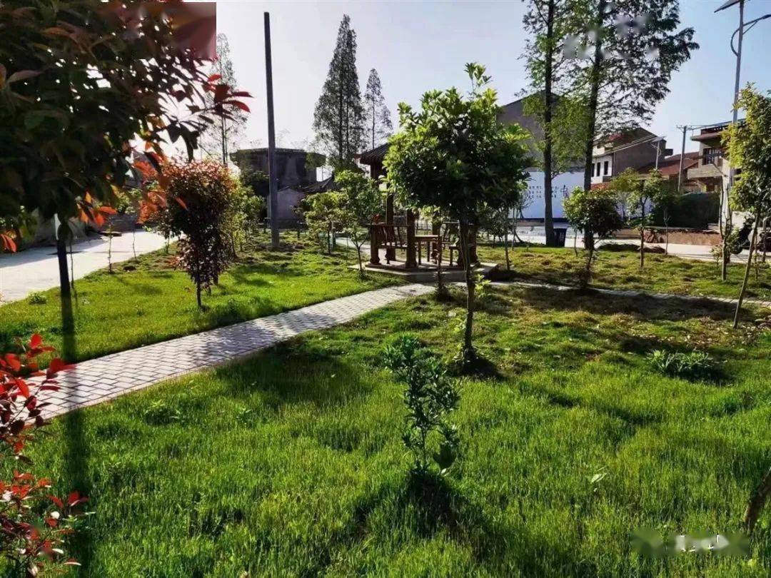 伍洛镇获擦亮小城镇建设美丽城镇省级奖补资金50万元