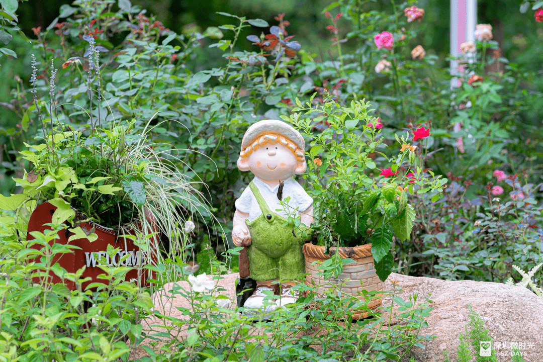 7月10日 深圳大事件 见习 大鹏 关山月美术馆