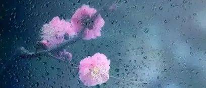 一抹情思着夏雨_夏天_spwy_天地