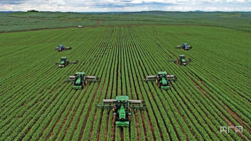 内蒙古呼伦贝尔:黑土沃野夏管忙_现代化_作业_农机