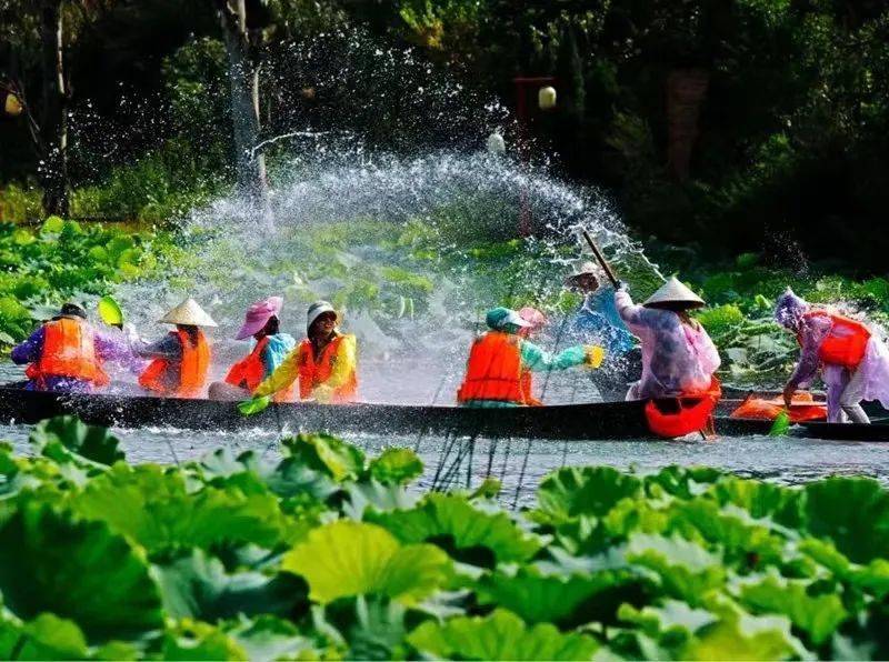 仙境普者黑相约火把节抹黑脸赠吉祥泛舟打水仗漫步万亩荷塘特色荷花宴