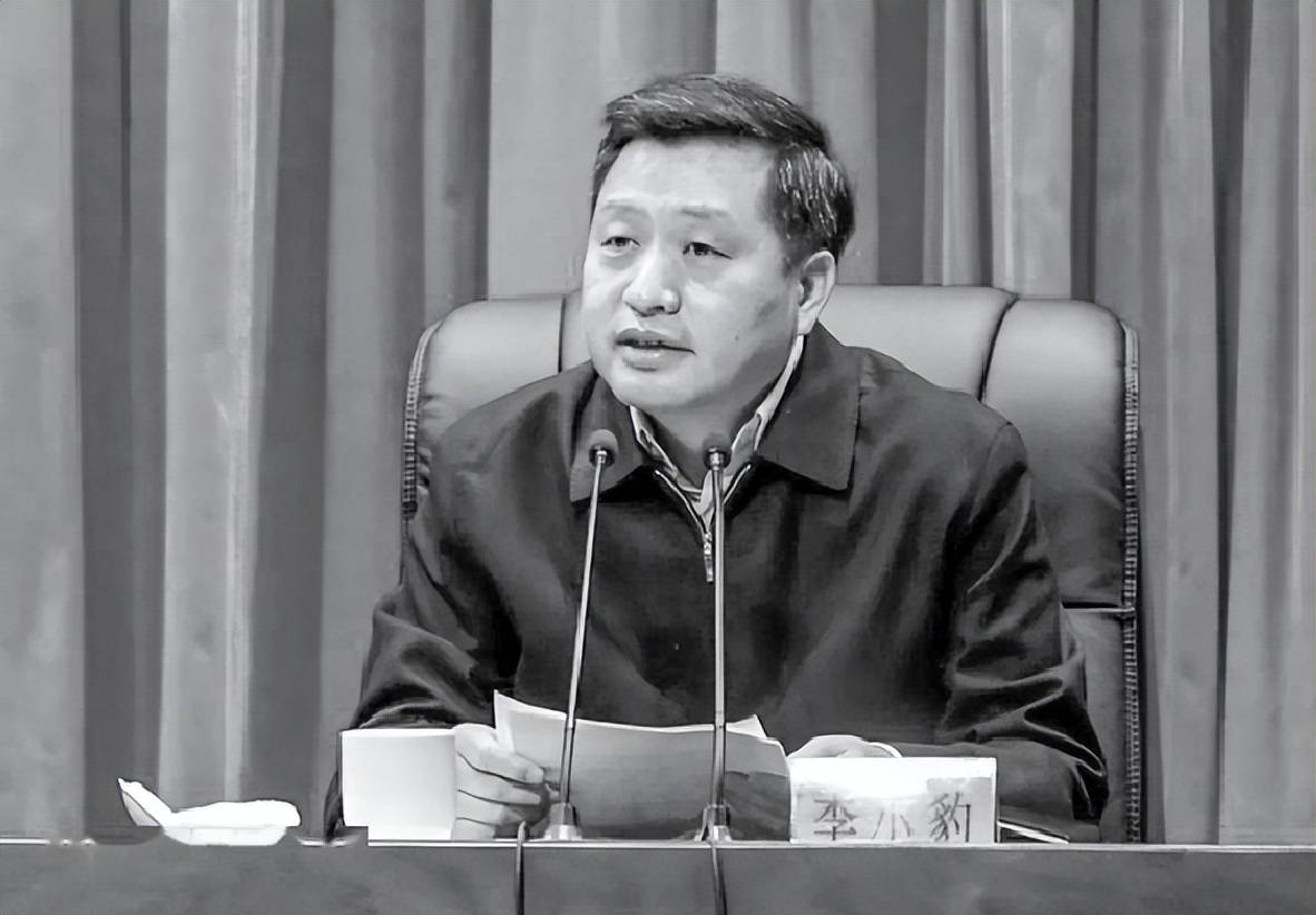 李小豹:一个牢骚太盛的市委书记_苏荣_江西_卫民