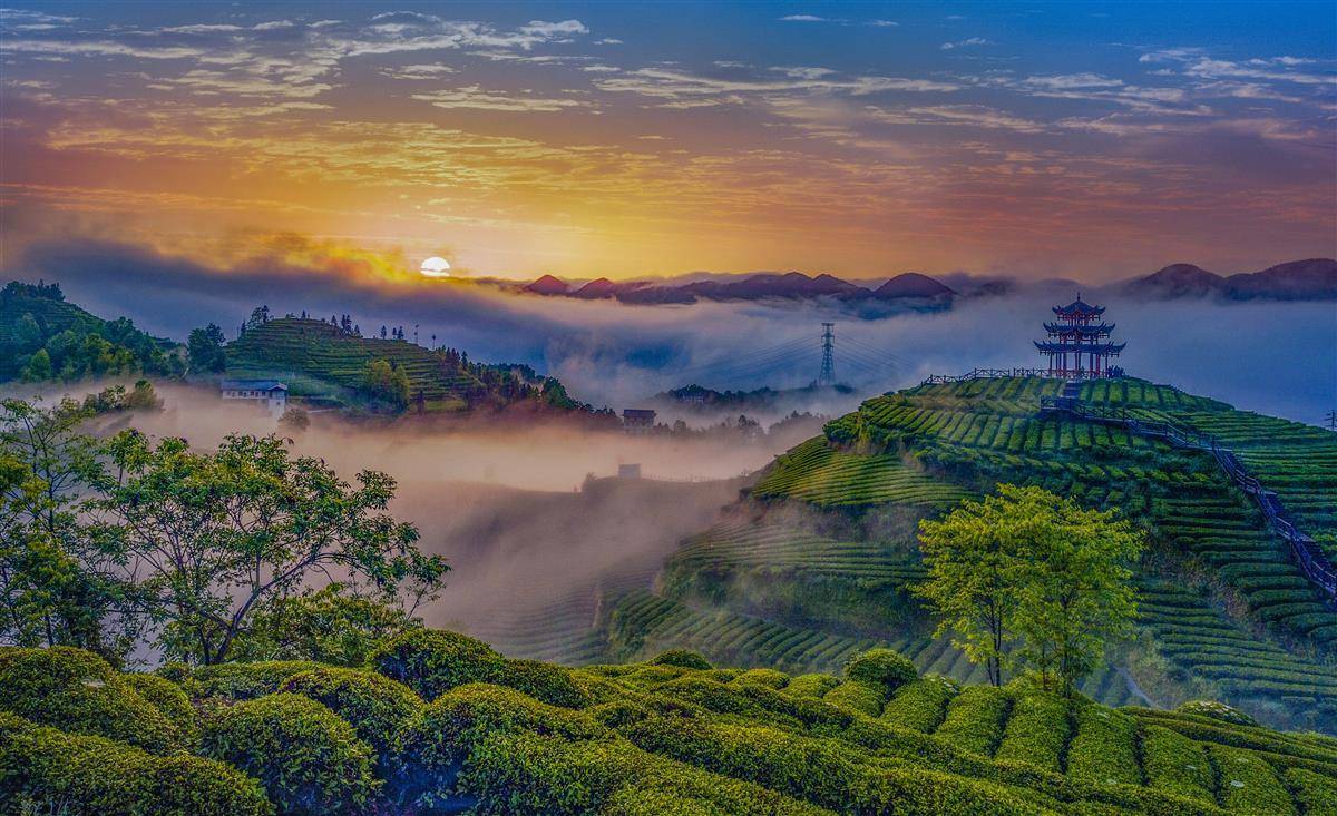 仙山贡水向武汉发出清凉之约恩施州首届凉交会宣恩专场推介会举行