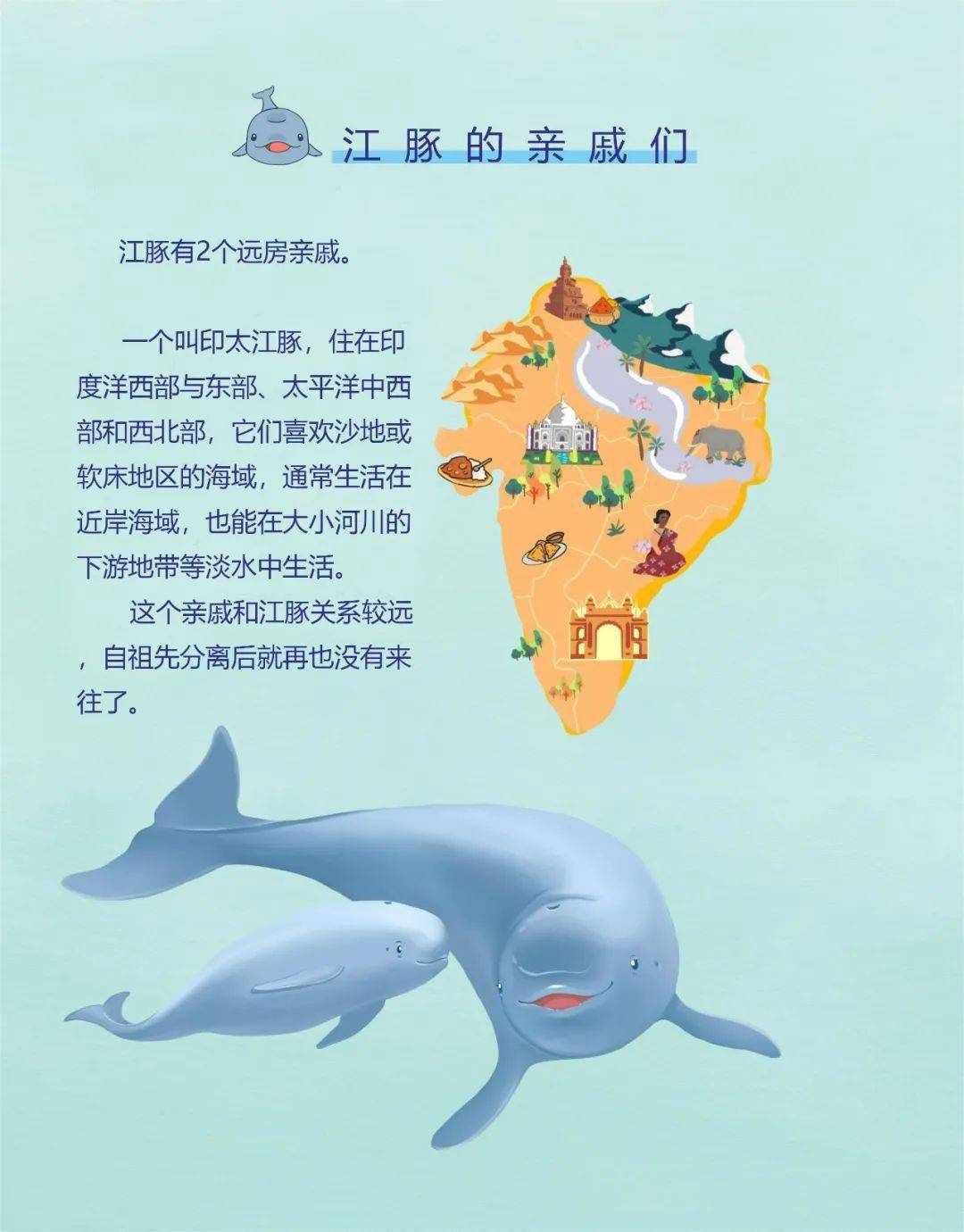 欢迎f9c22长江江豚英雄母亲再添丁