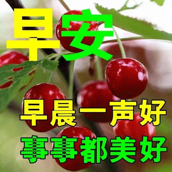 7月12日最新早上好祝福动态表情图片大全，早上好问候语句子！ 人生 阳光 满心田