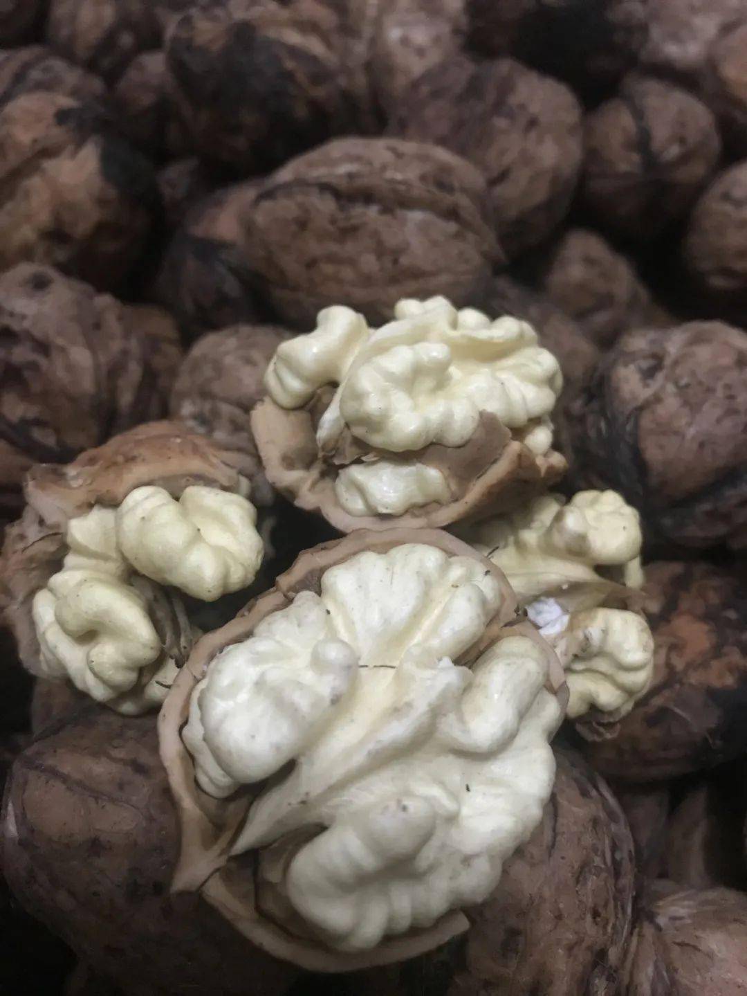 【936 | 严选】新鲜去青皮核桃,鲜脆爽口,原汁原味,嗨爆味蕾_大凉山