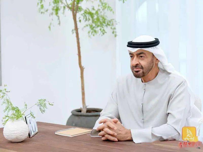 阿联酋总统发表就任后首次电视讲话,迪拜酋长将讲话内容视为国家发展