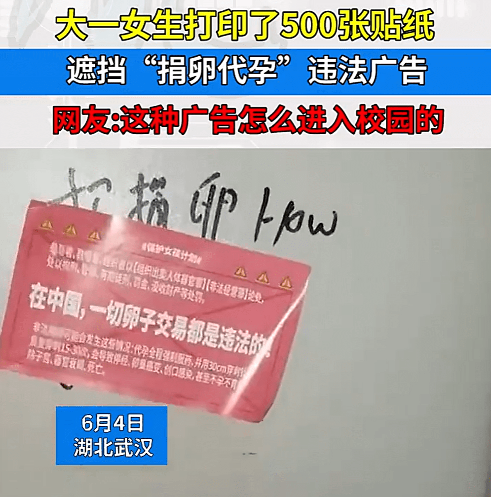 耐心!中国捐卵代怀"厉行节约"-第2张图片-飘零博客