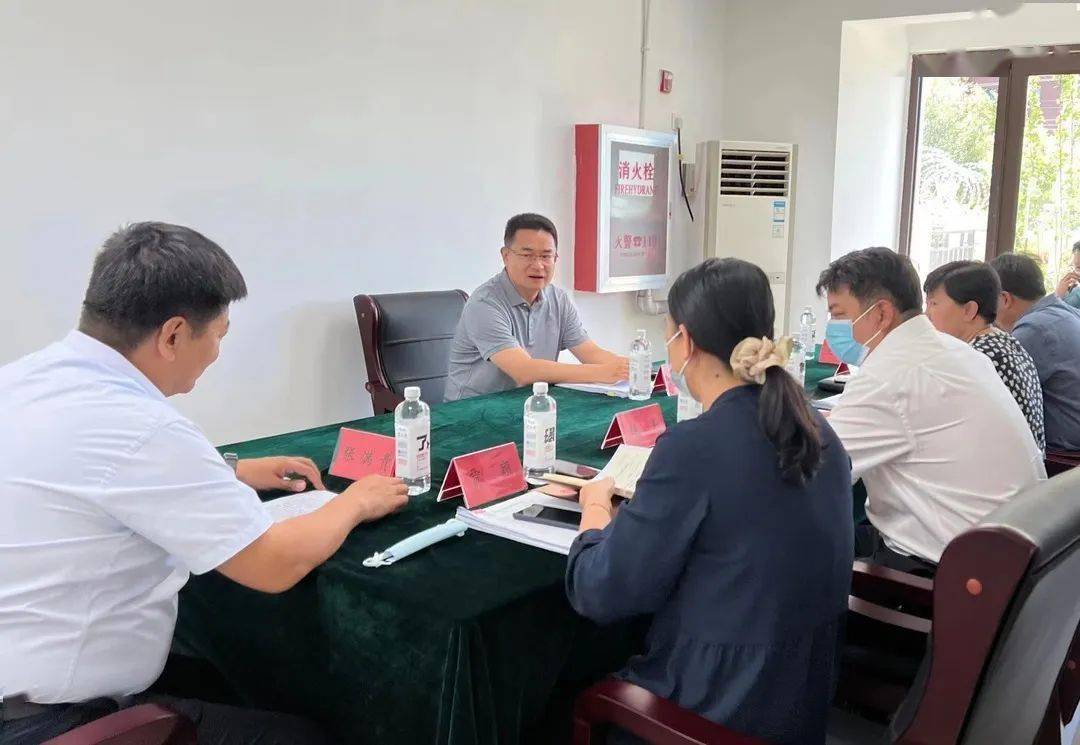 区委常委组织部部长孙学伟到东高村镇马坊镇调研