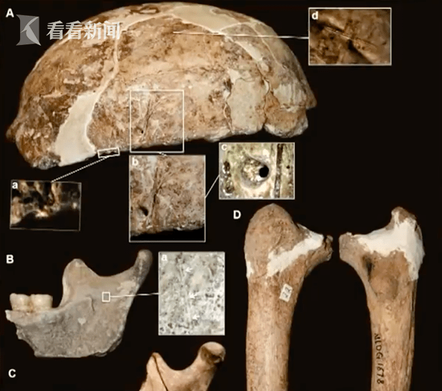 中科院：我国南方古人类与古印第安人基因组相近_手机搜狐网