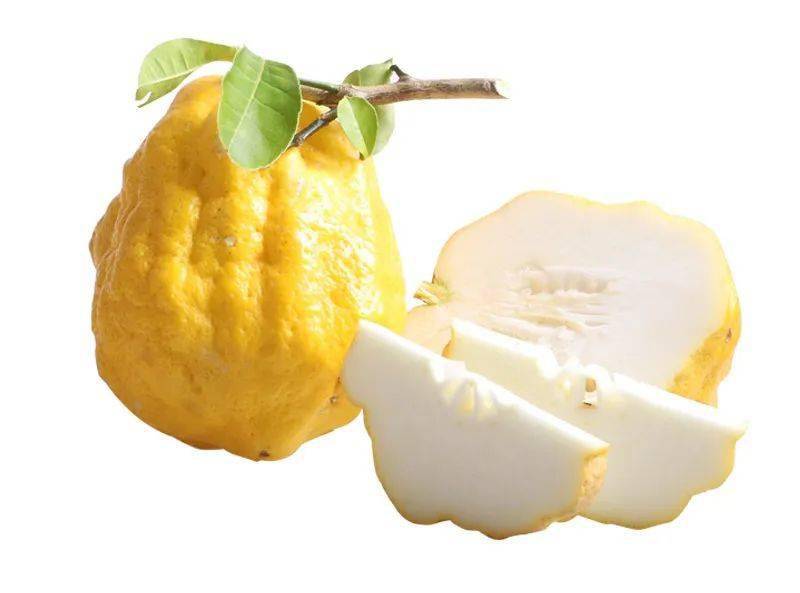 寻香| 跟着鼻子找夏天(上)_柠檬_香橼_香气